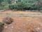 Thrippunithura Plot View 2