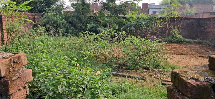 Aman society Main Image 1