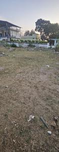 Gujrara Mansingh Plot View 2