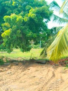 Residential Plot