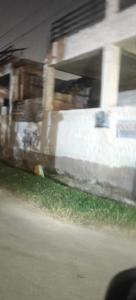 Image of 1900 Sq.ft 4 BHK Independent House for sale in Telibagh, Lucknow for Rs. 14300000