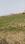 Masaurhi Plot View 2