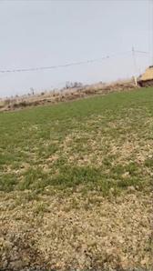 Masaurhi Plot View 1