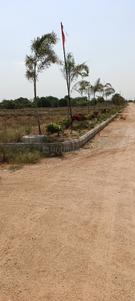 Kurmidda Plot View 3