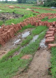 Image of 1200 Sq.ft Residential Plot / Land for sale in Benupur, Bhubaneswar for Rs. 2760000