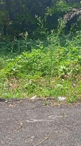Image of 1200 Sq.ft Residential Plot / Land for sale in Anjanapura Township, Bengaluru for Rs. 14880000