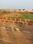 Pitapalli Main Image 1