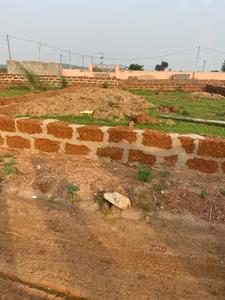 Pitapalli Plot View 1