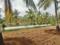 Farm Land Plot View 2