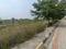 Devender Colony Plot View 1