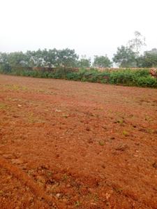 Image of 1200 Sq.ft Residential Plot / Land for sale in Trisulia, Cuttack for Rs. 840000
