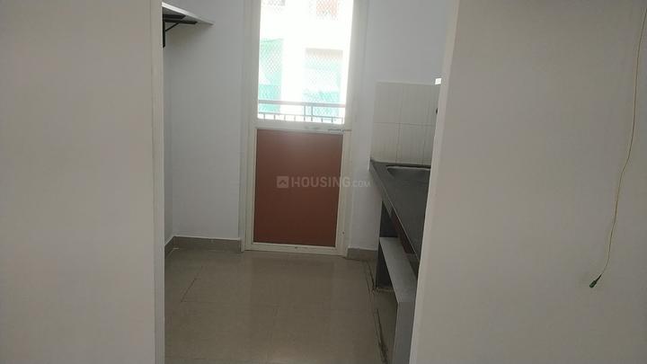 DB Ozone Main Image 1