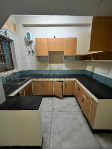 Kitchen Image of 1265 Sq.ft 2 BHK Builder Floor for rent in Sector 50 Noida for Rs. 30000