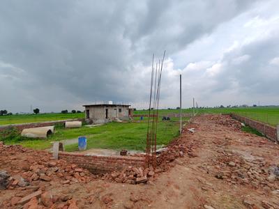 Barsane city Plot View 1