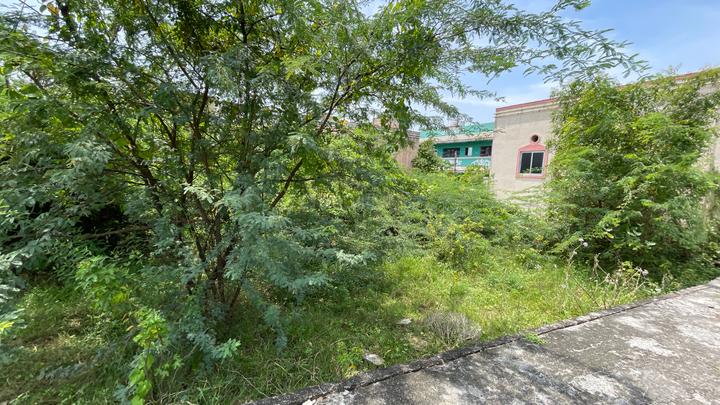 Palavedu Main Image 1