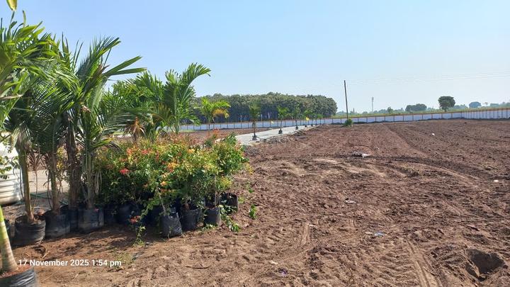 Wagholi Main Image 1