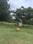Sri Amruta Varshini Plot View 2