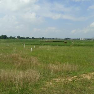 Image of 1200 Sq.ft Residential Plot / Land for sale in Kanke, Ranchi for Rs. 1800000