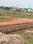 Patrapada Plot View 2