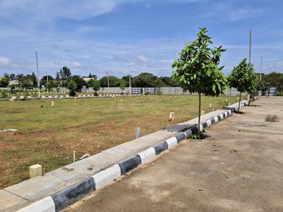 Residential Plot