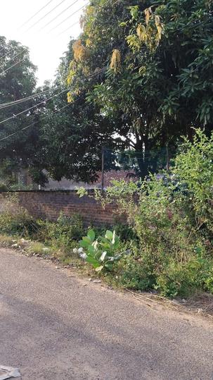 Vikalp Khand, Gomti Nagar Main Image 1