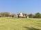 so pan icon palodiya Main Image 1