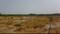 Land Main Image 1