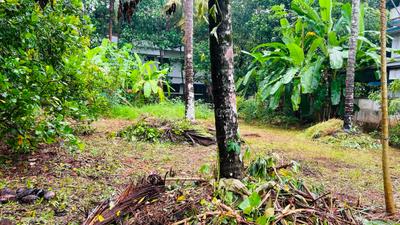 Image of 5880 Sq.ft Residential Plot / Land for sale in Viyyoor, Thrissur for Rs. 9585000