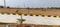 Dream City Shadnagar Plot View 2