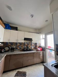 Kitchen Image of 1560 Sq.ft 3 BHK Apartment / Flat for rent in Eros Sampoornam, Noida Extension Greater Noida for Rs. 13500