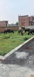 Bhadawar Plot View 3