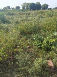 Image of 693 Sq.ft Residential Plot / Land for sale in Kaulakha, Agra for Rs. 1400000