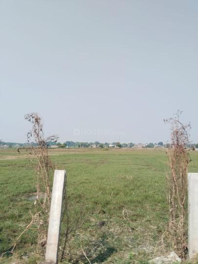 The vanshivat farm Main Image 1