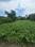 Sonarpur Main Image 1