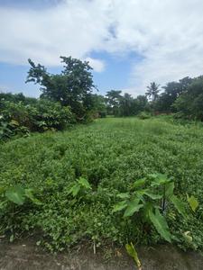 Sonarpur Plot View 1