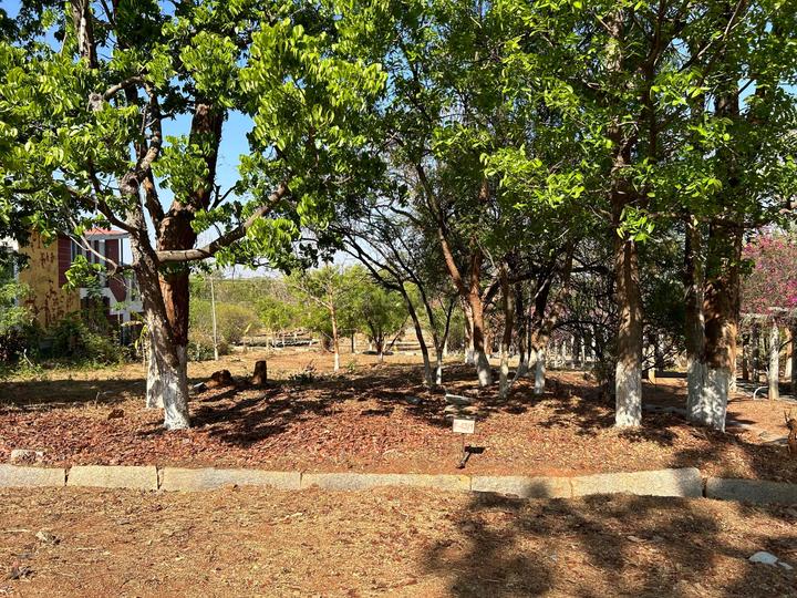 Eagleburg Golf Village Main Image 1