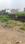 Subhash Colony, Mango Plot View 2
