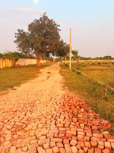 Residential Plot