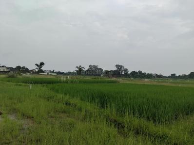 Image of 1000 Sq.ft Residential Plot / Land for sale in Arsande, Ranchi for Rs. 1500000