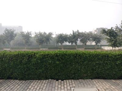 BPTP District Plot View 1