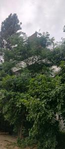 Image of 3500 Sq.ft 4 BHK Independent House for sale in Jakkur, Bengaluru for Rs. 53700000