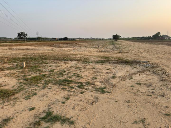 Sky Woods Main Image 1