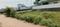 Jalalpur Main Image 1