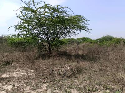 Image of 32 Sq.ft Residential Plot / Land for sale in Sector 34 Rohini, New Delhi for Rs. 7800000
