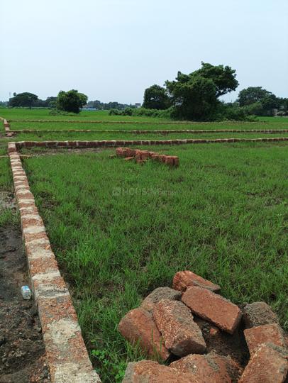Vingarpur Main Image 1