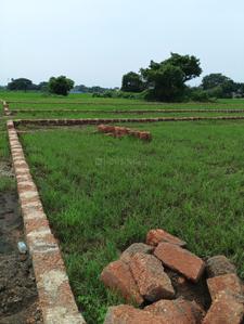 Image of 1500 Sq.ft Residential Plot / Land for sale in Bentapur, Bhubaneswar for Rs. 1875000