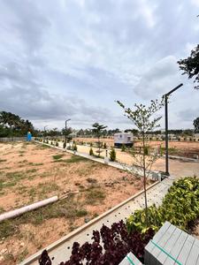 Residential Plot