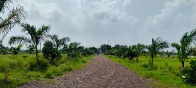 Image of 8000 Sq.ft Residential Plot / Land for sale in Patan, Durg for Rs. 5208000