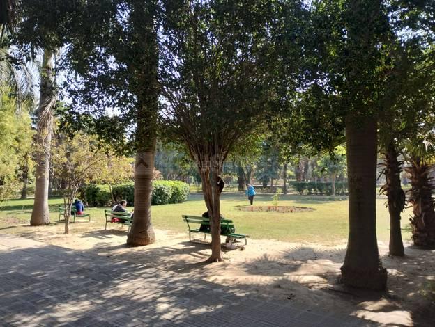 Pocket A, Sector 19 Main Image 1