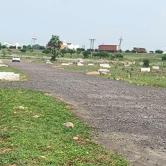 Panjari Main Image 1